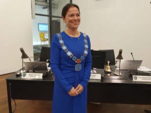 Forslaget er vedtaget