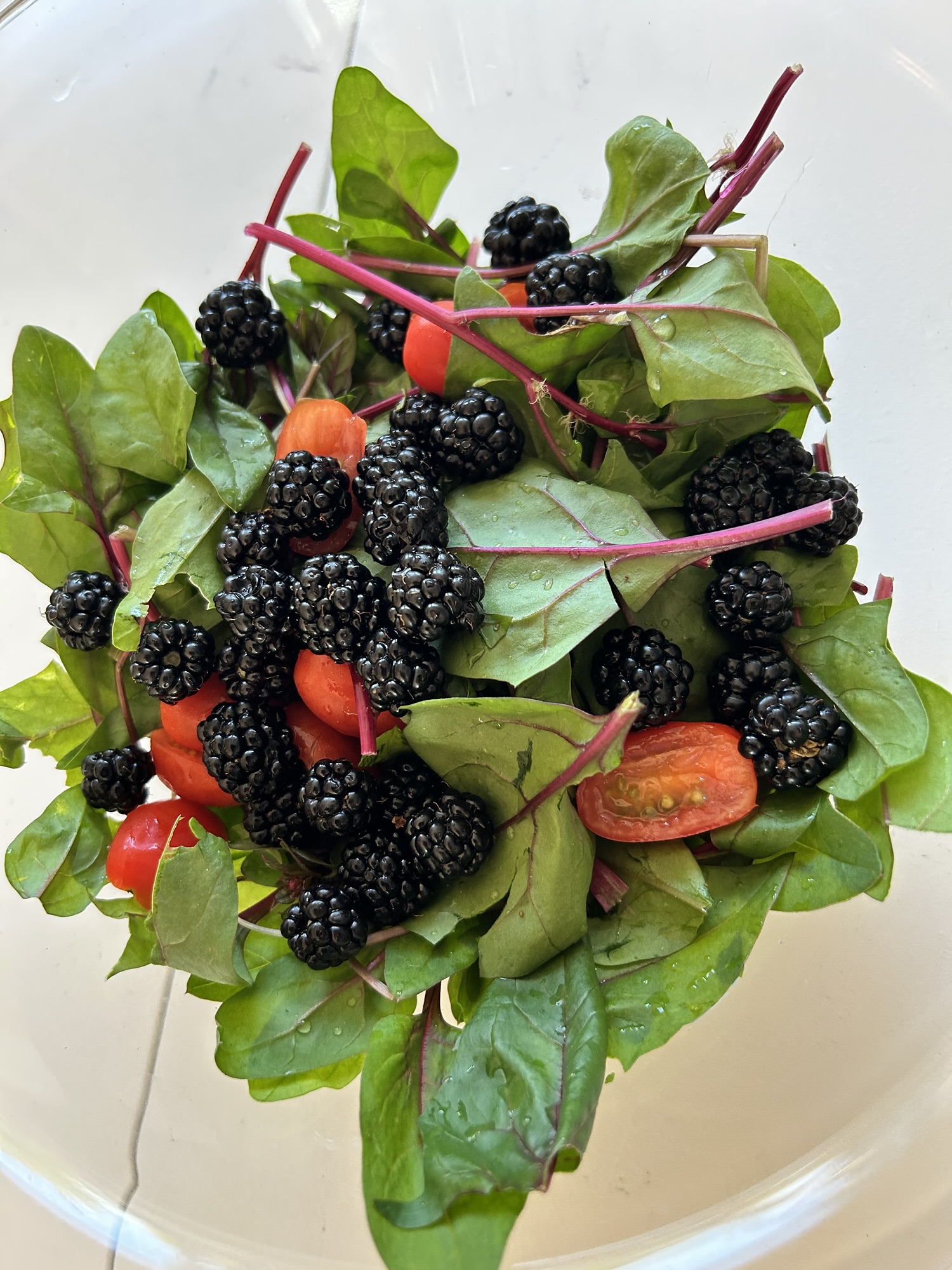 Lækker salat tilberedt af ting fra naturen og haven